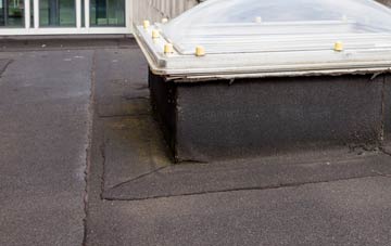 disadvantages of Hale Nook flat roofs