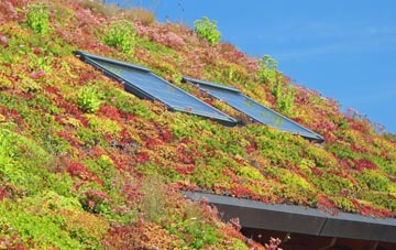 Hale Nook living roof systems